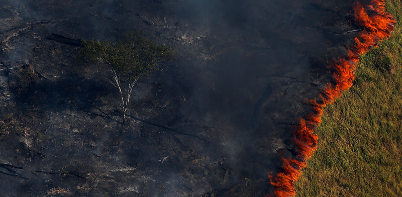 שריפות ביערות האמזונס, ברזיל / צילום: רויטרס