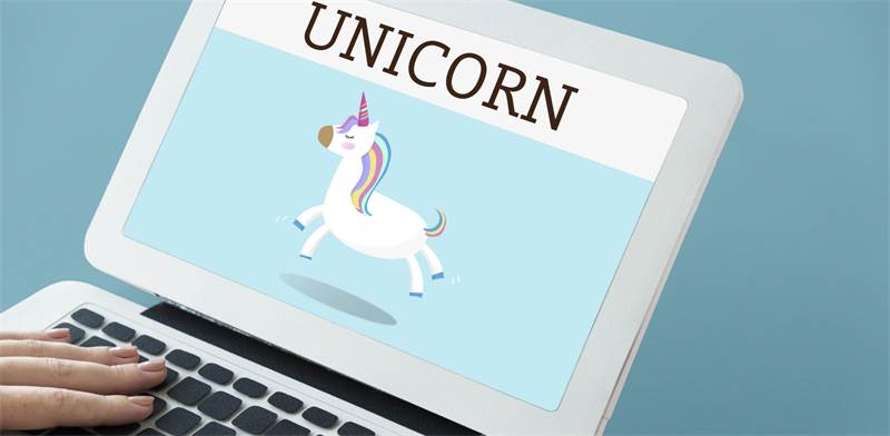 Unicorn / Photo: Shutterstock