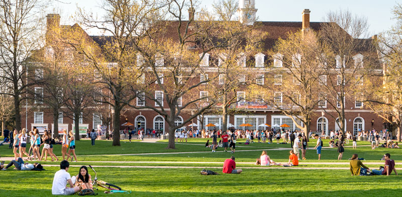 סטודנטים בקמפוס אוניברסיטת אילינוי / צילום: Shutterstock, א.ס.א.פ קריאייטיב
