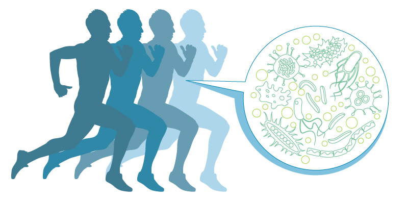 החיידקים שגורמים לנו לרוץ / איור: Shutterstock/א.ס.א.פ קרייטיב