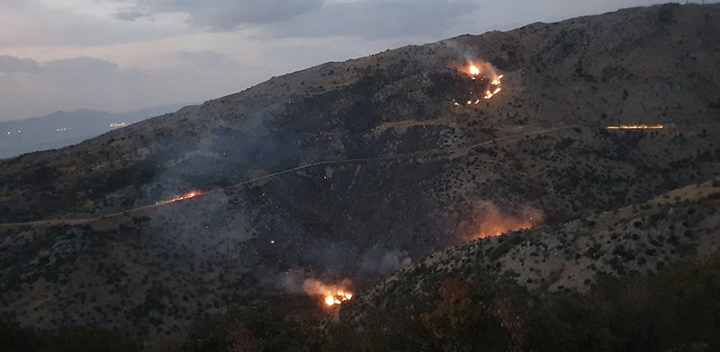 שריפות בשמורת טבע בגולן בעקבות אימונים של צה"ל / צילום: עמי דורפמן, רשות הטבע והגנים