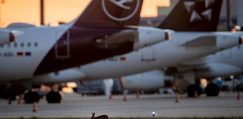 מטוסי חברת לופטהנזה מושבתים בשדה תעופה בגרמניה / צילום: תמר מצפי