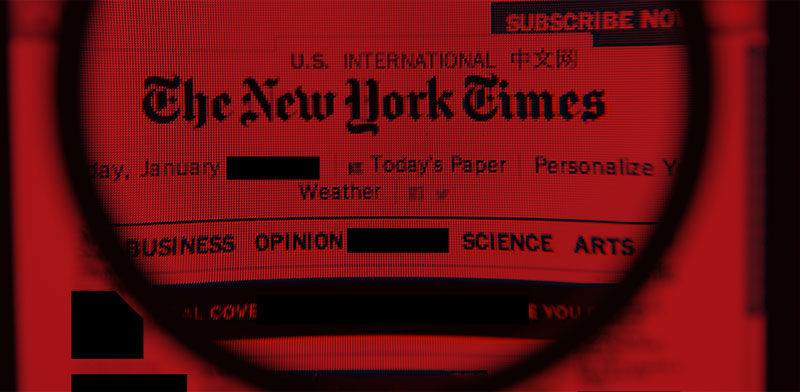 חופש הביטוי בעיתון ה"ניו יורק טיימס" / עיצוב: טלי בוגדנובסקי , גלובס