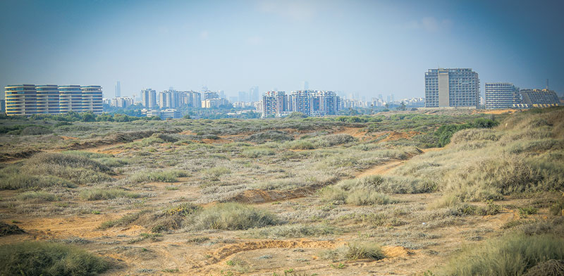 חוף התכלת, הרצליה / צילום: שלומי יוסף, גלובס