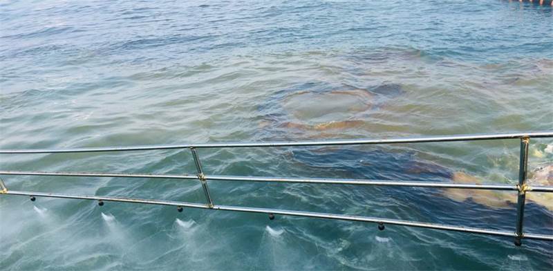דליפת נפט בנמל קצא"א באשקלון / צילום: יצחק קודוביצקי, המשרד להגנת הסביבה