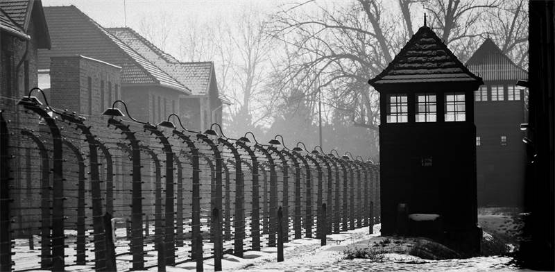 עמדת שמירה באושוויץ / צילום: Szymon Kaczmarczyk, שאטרסטוק